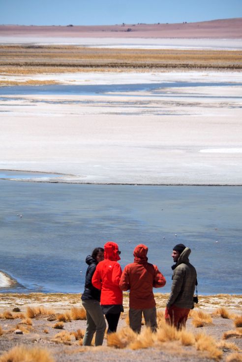 The Tara Salt Flat - Atacama Desert