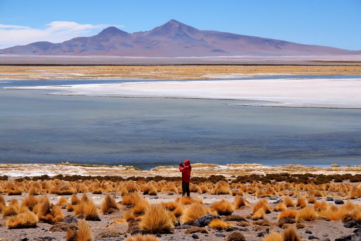 The Tara Salt Flat - Atacama Desert