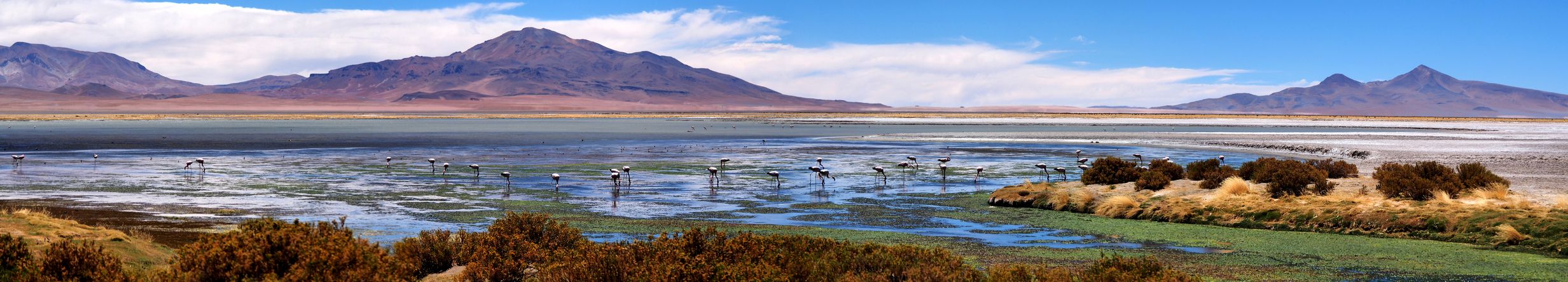 The Tara Salt Flat - Atacama Desert