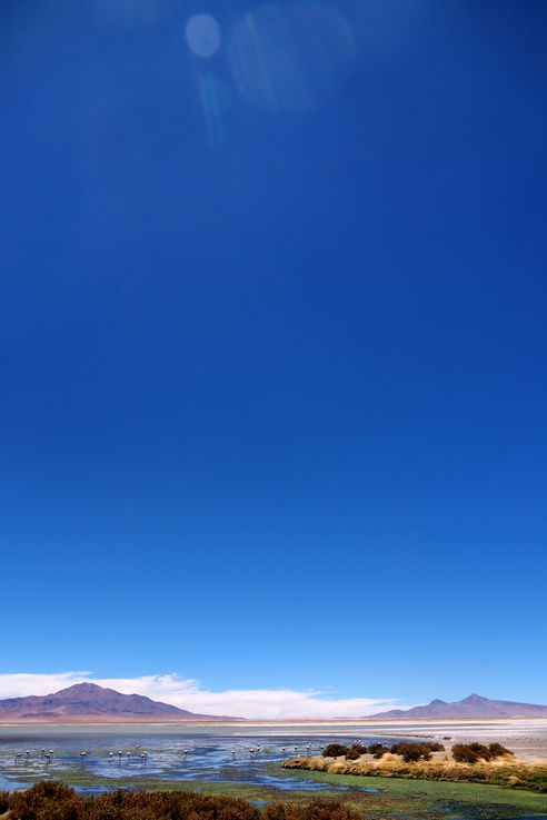 The Tara Salt Flat - Atacama Desert