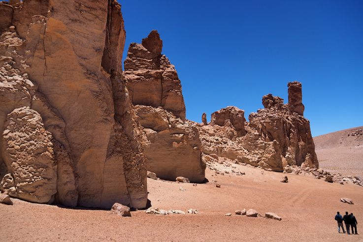 The Tara Salt Flat - Atacama Desert