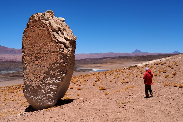 The Tara Salt Flat - Atacama Desert