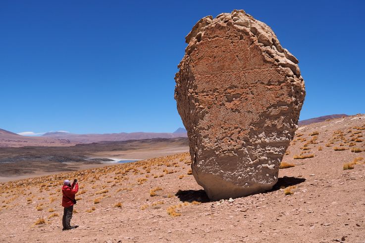 The Tara Salt Flat - Atacama Desert