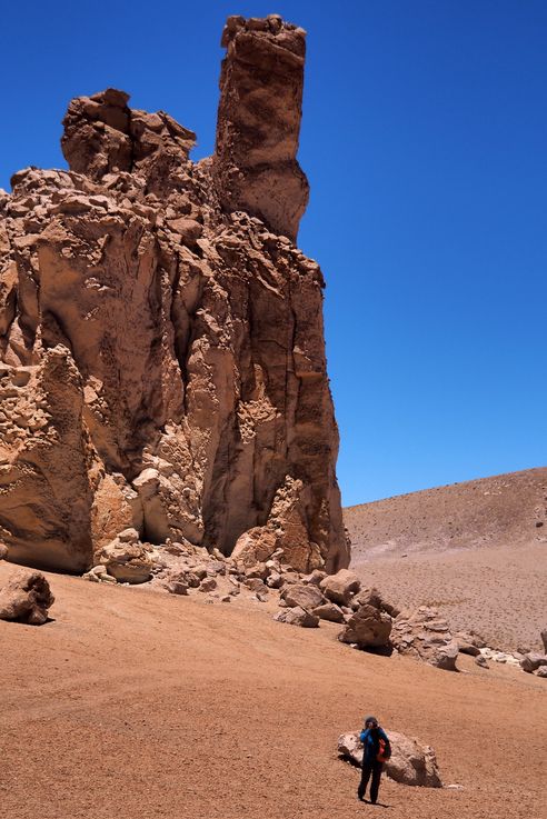 The Tara Salt Flat - Atacama Desert