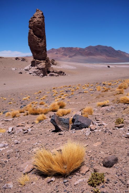 The Tara Salt Flat - Atacama Desert