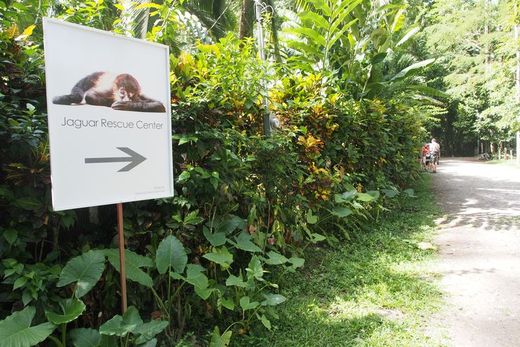 Entrada al Jaguar Rescue Center