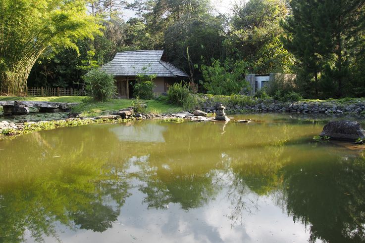 Au jardin botanique Lankaster de Cartago