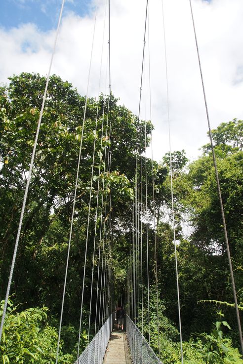 At the Arenal hanging bridges