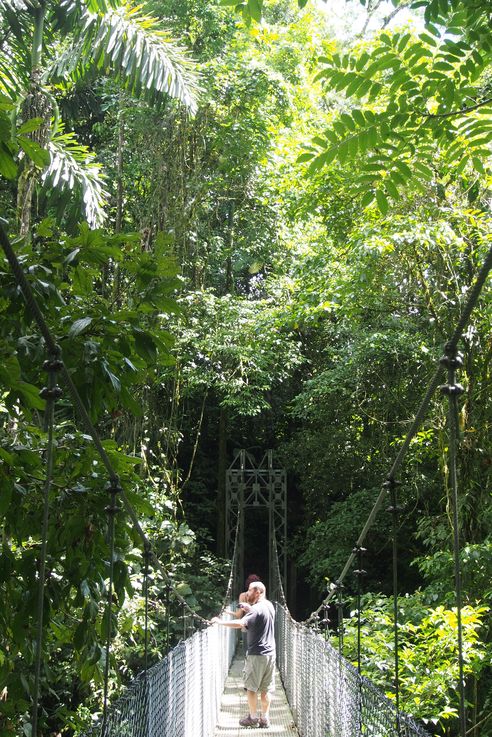 At Arenal hanging bridges