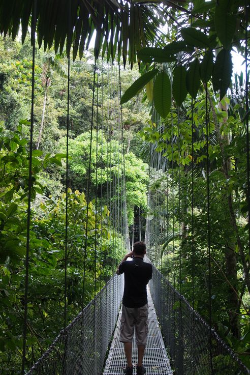 Suspension bridge at Arenal Hanging bridges