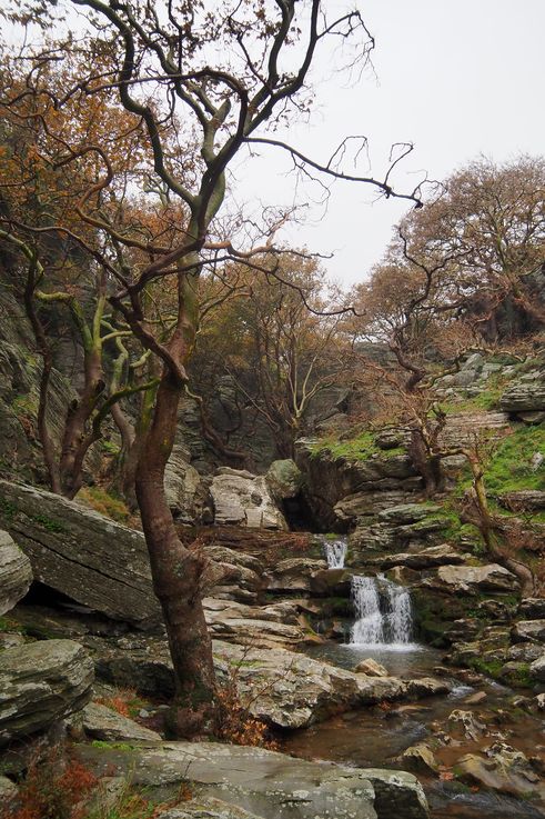 Dans les gorges de Dimosari
