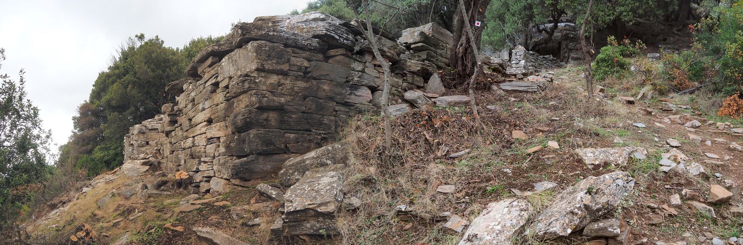 Dragon Houses Of Styra