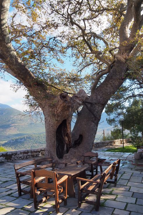 Au monastère d'Osios Loukas