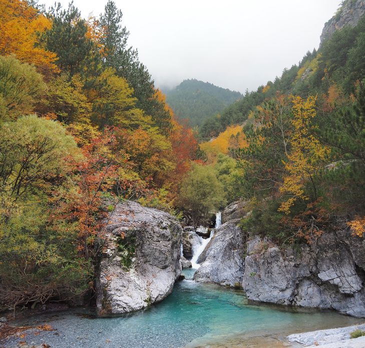 Bosque del Monte Olimpo