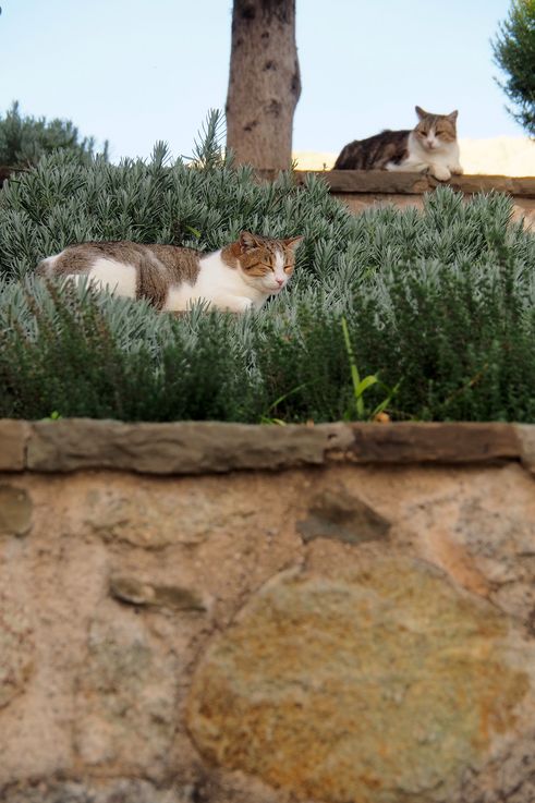 The Agia Triada Monastery in Meteora