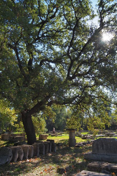 Le site archéologique d'Olympie
