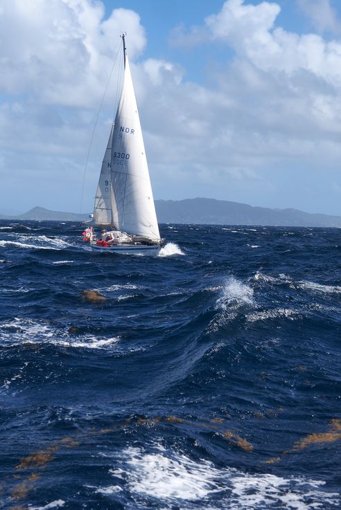 Entre Bequia y Mayreau