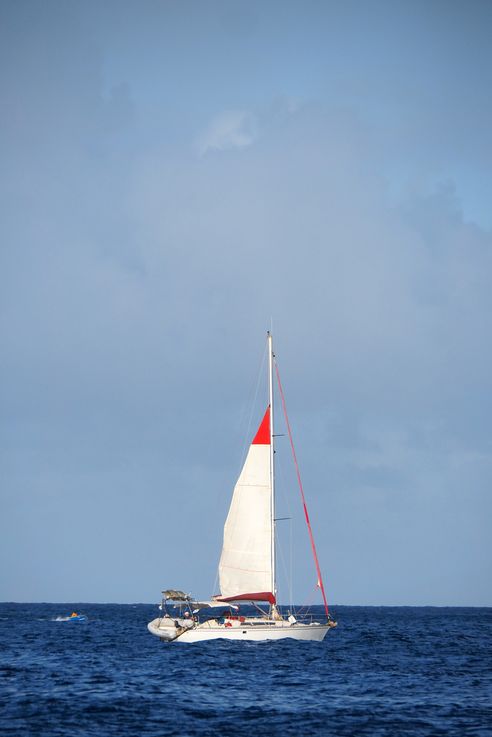 Tobago Cays - Saint-Vincent-et-les-Grenadines
