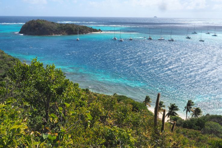 Tobago Cays - Saint-Vincent-et-les-Grenadines