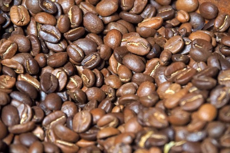 Coffee beans - Filadelfia Coffee in Antigua