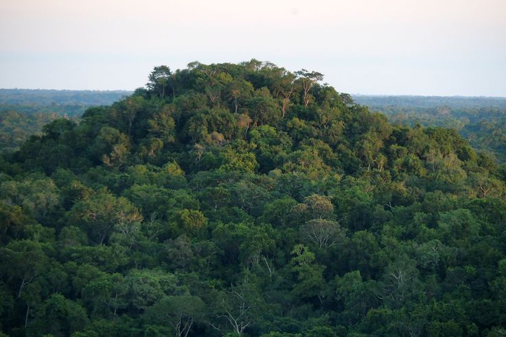 El Tintal (El Mirador trek)