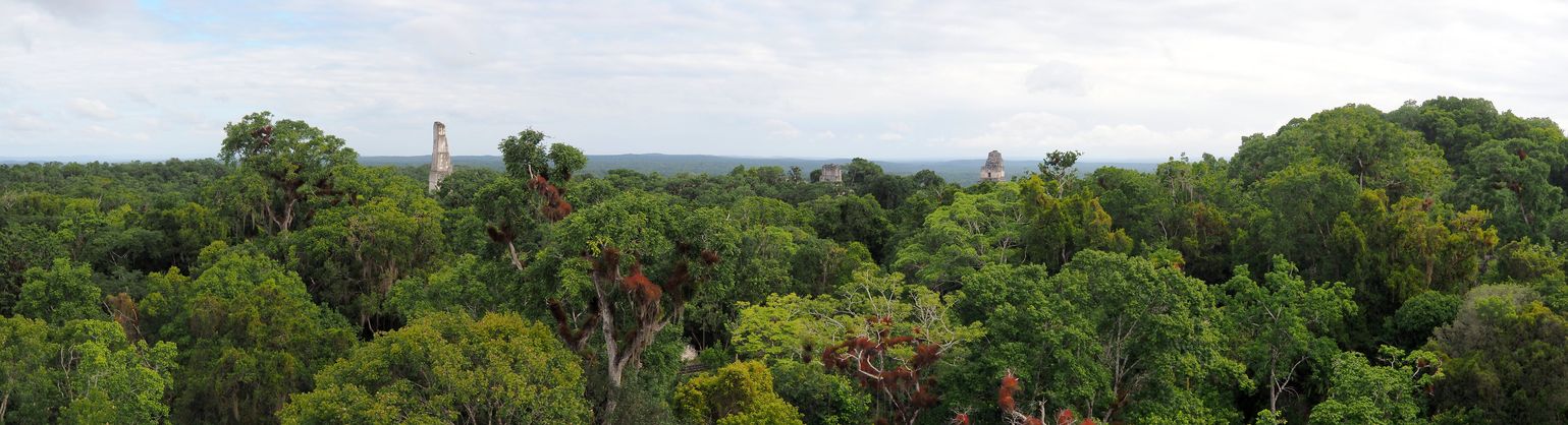 Tikal