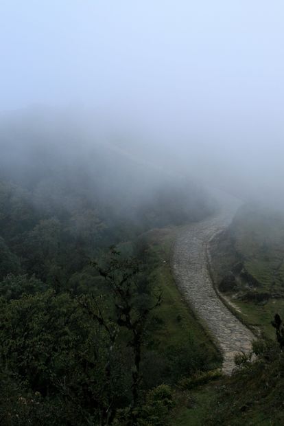 En trek dans le parc national de Singalila
