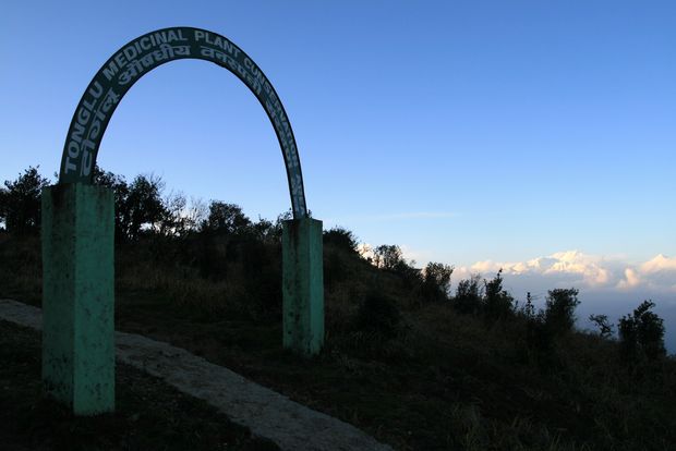 En trek dans le parc national de Singalila