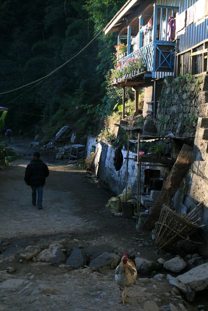 De trekking en el Parque Nacional de Singalila
