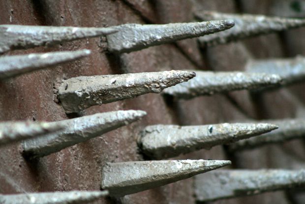 La porte du fort de Junagarh