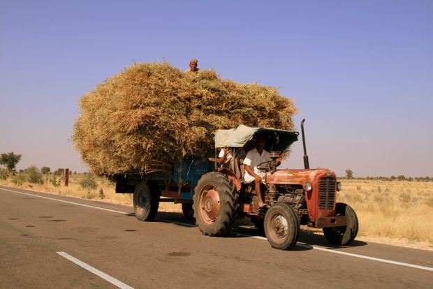 Tractor en Rajasthan