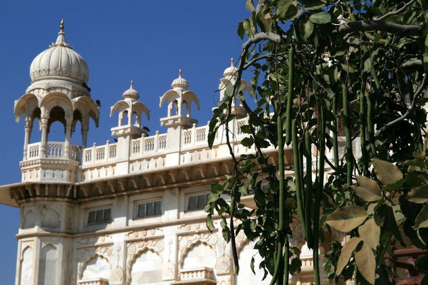 At the Jaswant Thada cenotaph