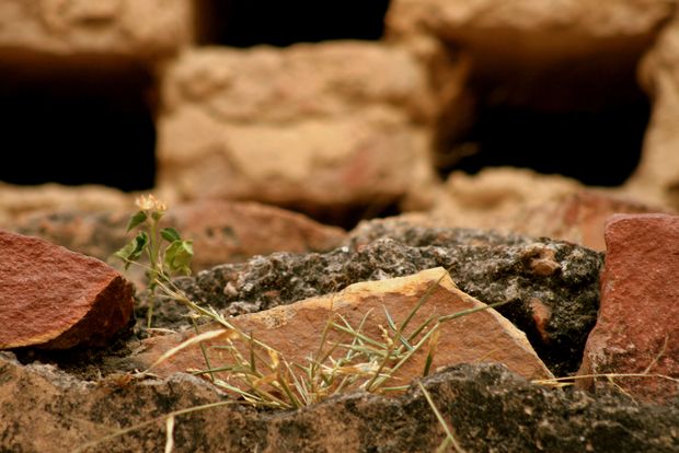 Mur à Fatehpur Sikri