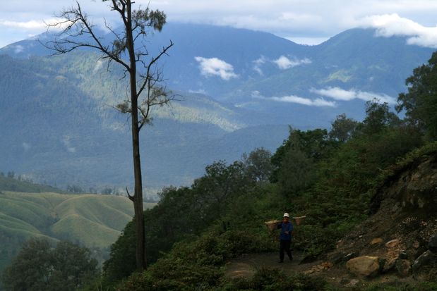 Portador de azufre. Volcán Kawah Ijen. Java.