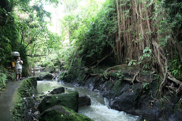Monkey Forest. Ubud. Bali.