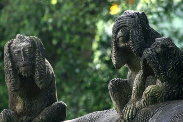 The wise monkeys. Hear no evil, see no evil, speak no evil (Monkey Forest in Ubud. Bali.)