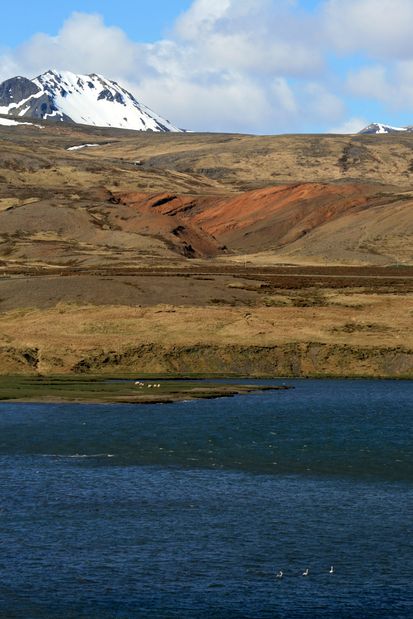 Alftafjordur.