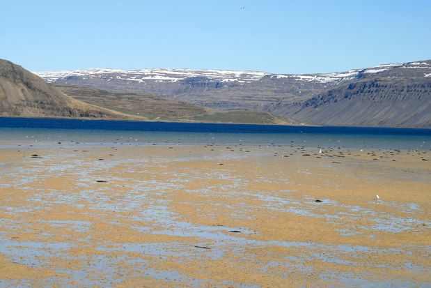 Vestfirðir.