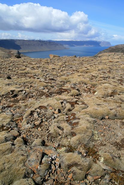 Arnarfjörður.