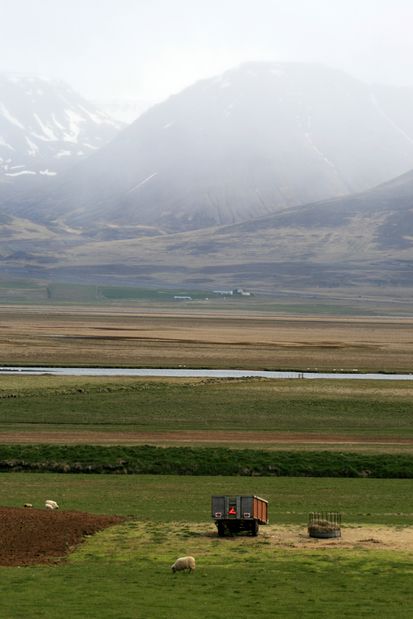 Islande 2011