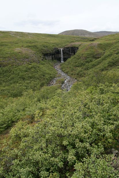 Svartifoss