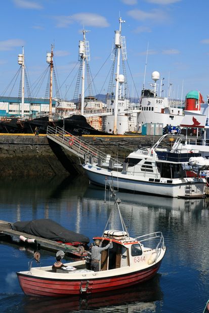 Port of Reykjavik