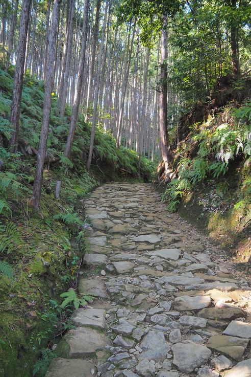 En los caminos de Kumano Kodo