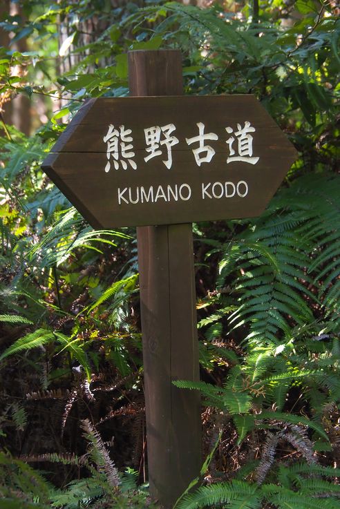 En los caminos de Kumano Kodo