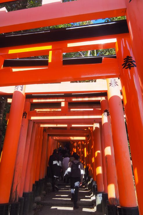 Fushimi Inari Shrine (Kyoto)