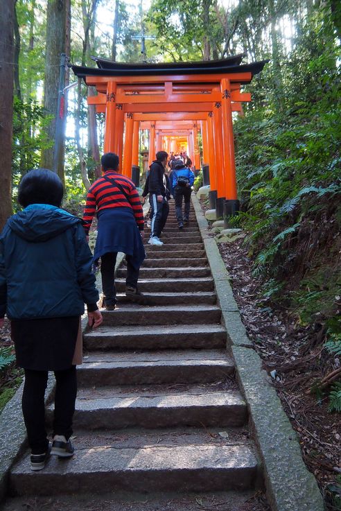 Fushimi Inari Shrine (Kyoto)