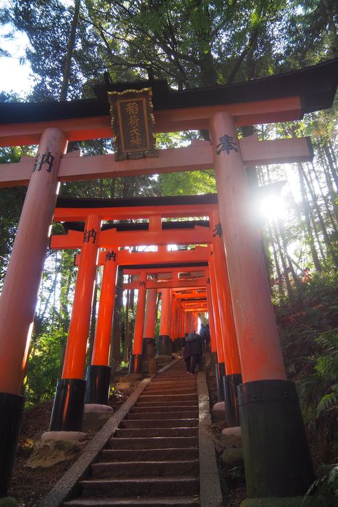 Fushimi Inari Shrine (Kyoto)