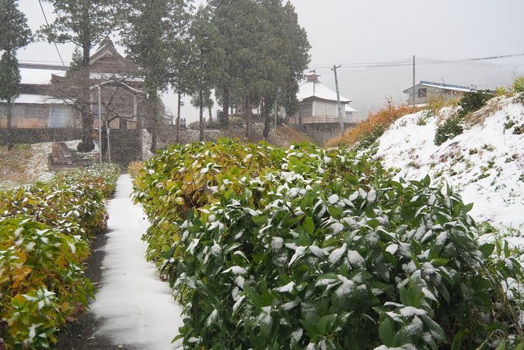 Japan 2019