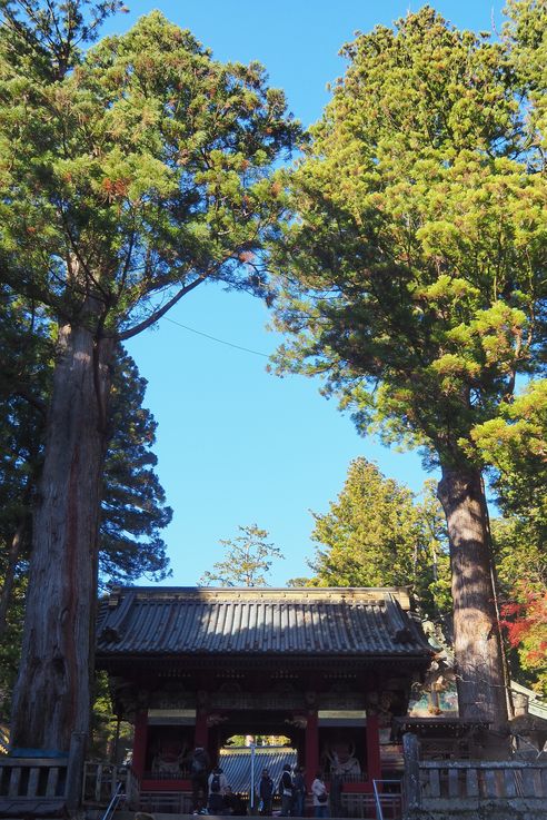 Nikko Toshogu