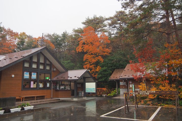 Saiko Lake Bat Cave
